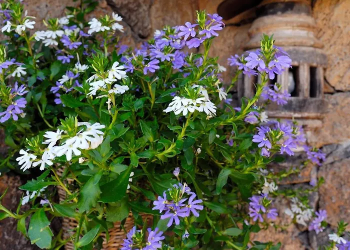 Castillo Lanzarote Bentley - Luxury -sleep In A Volcanic Cave